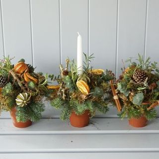 "rustic country" christmas table trio decorations by the artisan dried flower company