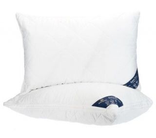 Serta Perfect Sleeper Set of 2 Queen Pillows with 1 Gusset —