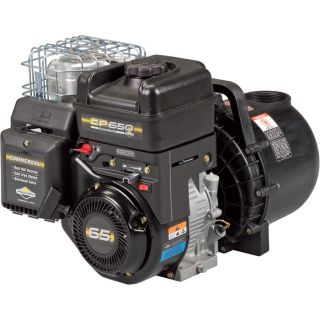 Pacer Chemical/Water Pump — 3in. Ports, 16,500 GPH, 205cc Briggs & Stratton Engine, Model# SE3SL E6VCP  Engine Driven Chemical Pumps