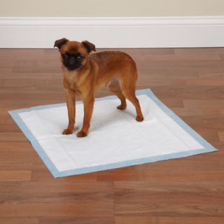 Clean Go Pet ClearQuest Value Puppy Pad