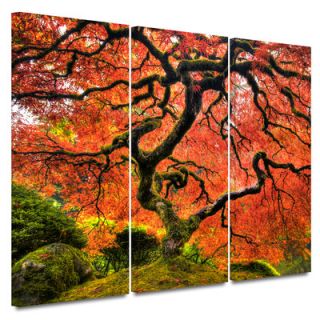 Art Wall Japanese Maple Tree by John Black 3 Piece Painting Print on