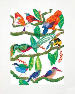 'exotic birds' art print by louise cunningham