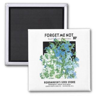 Forget Me Not, Dwarf Compact, Roudabush's Seed Sto Refrigerator Magnets