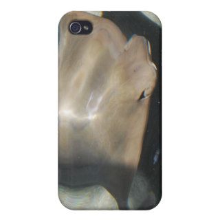 Swimming Stingray iPhone 4 Case