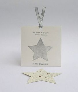 'plant a star' plantable seed paper gift by plant a bloomer