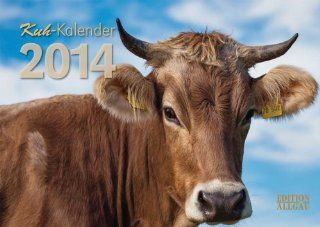Kuh Kalender 2014 mit Allguer Braunvieh EDITION ALLGU Bücher