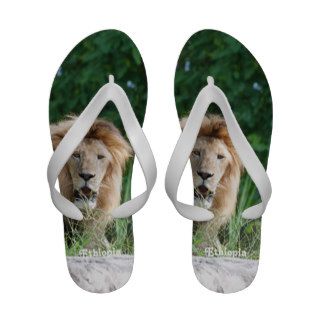 Ethiopia Lion Flip Flops