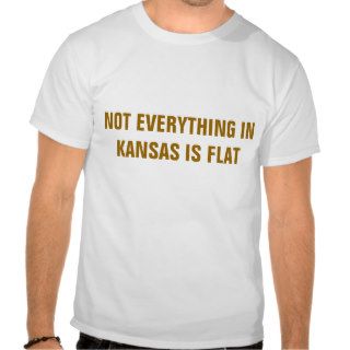 NOT EVERYTHING IN KANSAS IS FLAT T SHIRT