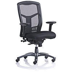 Ergo Mesh High back Executive Chair