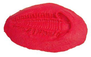 BonWay 32 266 Trilobite Prehistoric Fossil Stamp for Decorative Concrete   Multitool Accessories  