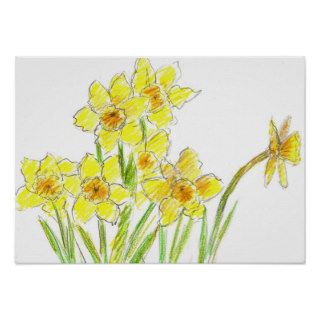 Spring Yellow Daffodil Garden Watercolor Drawing Print