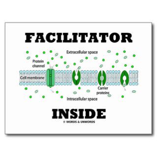 Facilitator Inside (Facilitated Diffusion) Postcard