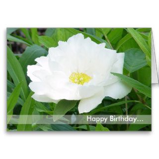Happy Birthday / Flower Card