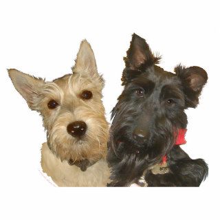 Wheaten & Black Scottish Terriers Photo Sculpture