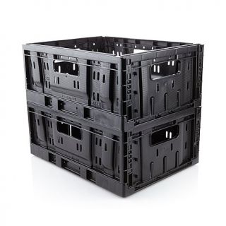 Improvements Set of 2 Collapsible Crates   Small