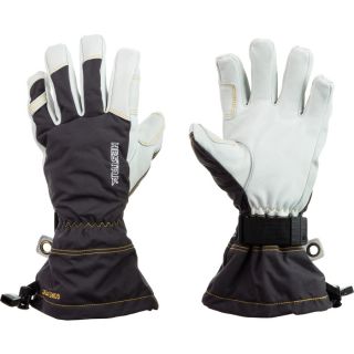Hestra Army Leather Gore Tex XCR Glove