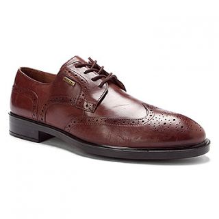 Geox Uomo Loris WPF Wingtip  Men's   Brown