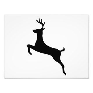 Deer Silhouette Photo