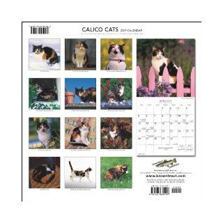 Calico Cats 2009 Square Wall Calendar BrownTrout Publishers Inc 9781421635194 Books