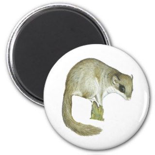 Dormouse Woodland Dormouse Magnet