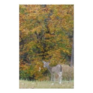 Young Bambi Deer with fall trees. Custom Stationery