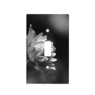 Sunlit Flower in Black And White Light Switch Plate