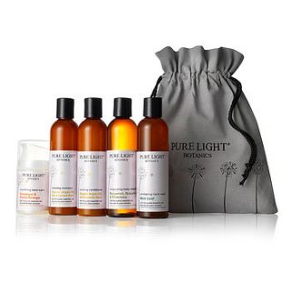the ultimate gift and travel set by pure light botanics