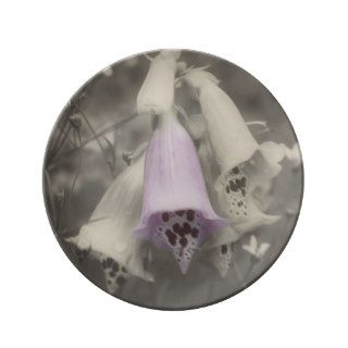 Foxglove Flowers In Black And White Porcelain Plate