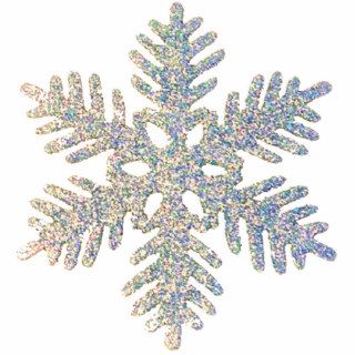 One Glittery Snowflake Acrylic Cut Out