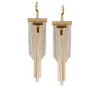 Wildlife by Heidi Klum Fashion Fringe Lever Back Earrings —