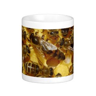 Honey Bees in Hive with Queen in Middle Coffee Mugs