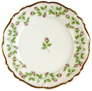 Edelstein Hedgerose Bread & Butter Plate, Fine China Dinnerware   Small Pink Ros