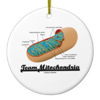 Team Mitochondria (Mitochondrion Humor) Christmas Ornaments