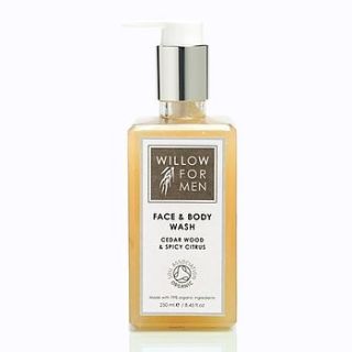 men's gentle cleansing face and body wash by willow organic beauty