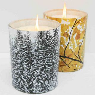 winter scented candle by catkin collection