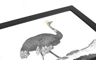 hand gilded ostrich print by mountain & molehill