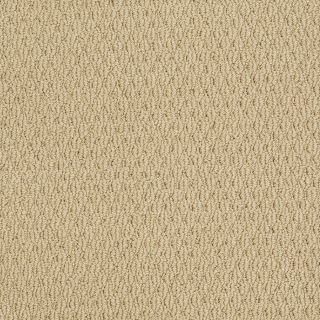 STAINMASTER Trusoft One Last Dance Honey Fashion Forward Indoor Carpet