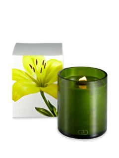 Viva Candle (12 OZ) by DayNa Decker