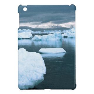 Winter Frozen Antarctica Cover For The iPad Mini