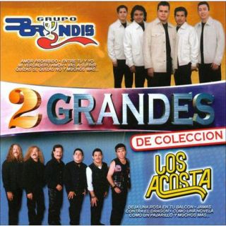 2 Grandes (Grupo Bryndis/Los Acosta) (Greatest H