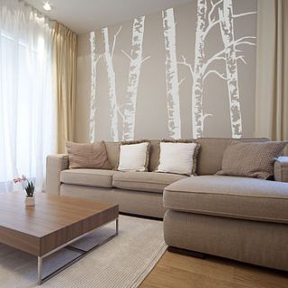 silver birch trees vinyl wall sticker by oakdene designs