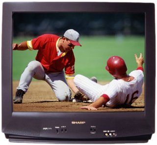 Sharp 25NS100 25" TV Electronics