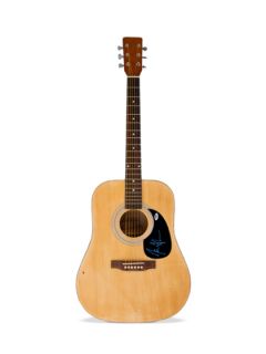 James Taylor Autographed Acoustic Style Guitar by New Dimensions