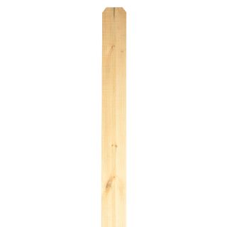 Pine Dog Ear Pressure Treated Wood Fence Picket (Common 5/8 In x 5 1/2 In x 96 in; Actual 0.63 in x 5.5 in x 96 in)