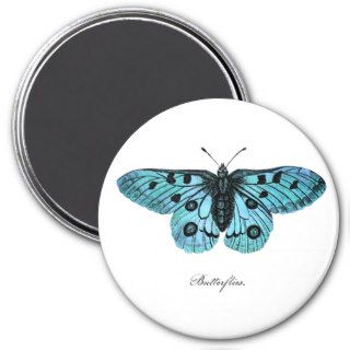 Vintage Teal Blue Butterfly Drawing   Butterflies Refrigerator Magnet