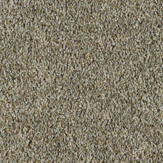 Shaw Soft & Cozy III Brushed Nickel Textured Indoor Carpet