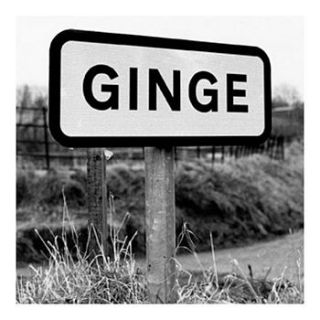 ginge coaster by colloco homeware and gifts