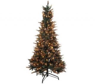 BethlehemLights 7.5 Blue River Spruce Tree w/ Instant Power and 5 Year LMW —