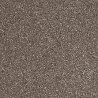 Shaw 7L52200704 Brown Textured Indoor Carpet