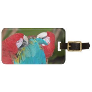 Red and blue macaw parrot print travel bag tag